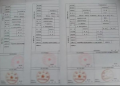 實習證明公章造假到底坑了誰