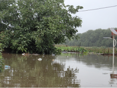 自然災害頻發，應急預案體系如何精準應對