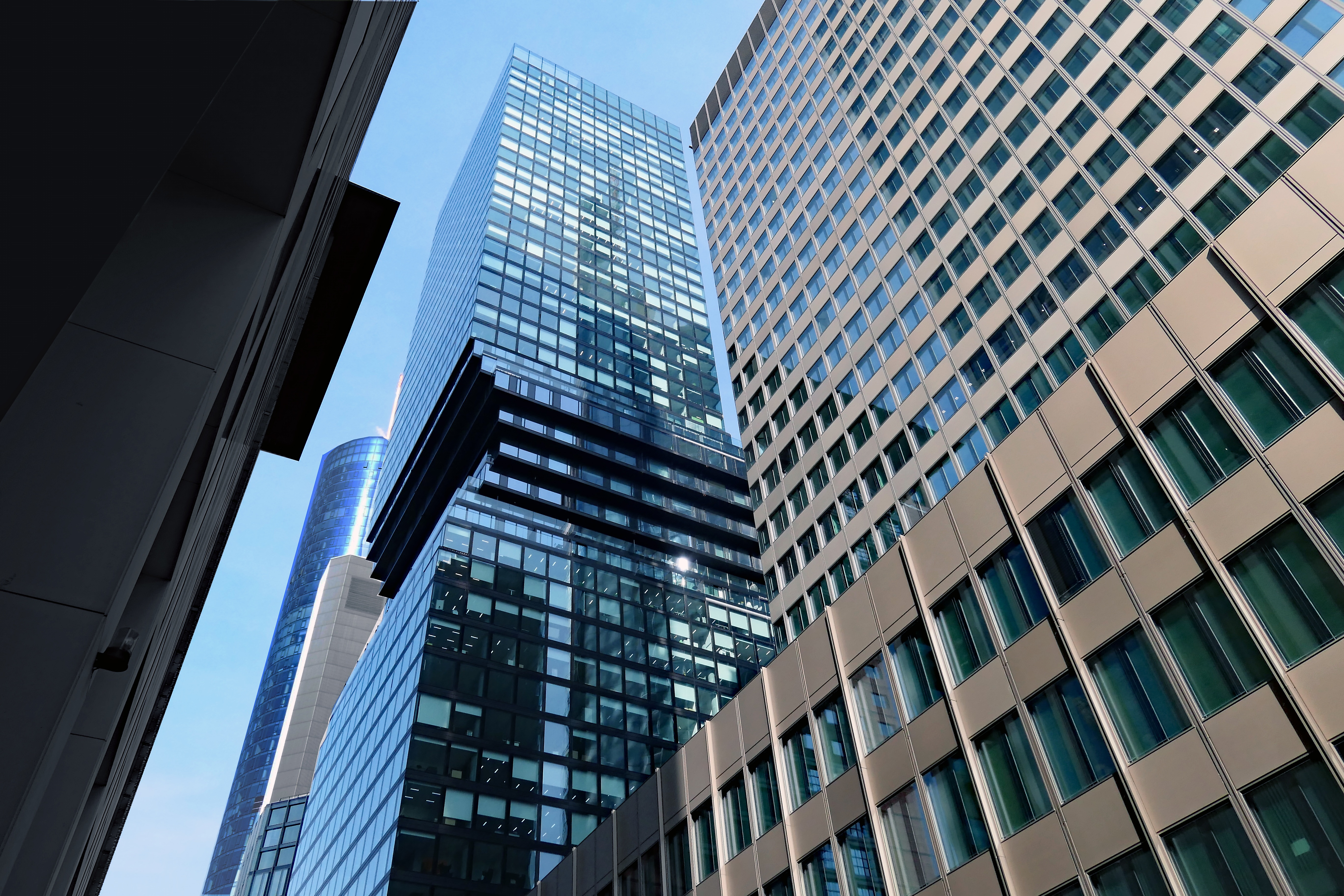 私刻公章投標(biāo)：風(fēng)險、后果與防范之道